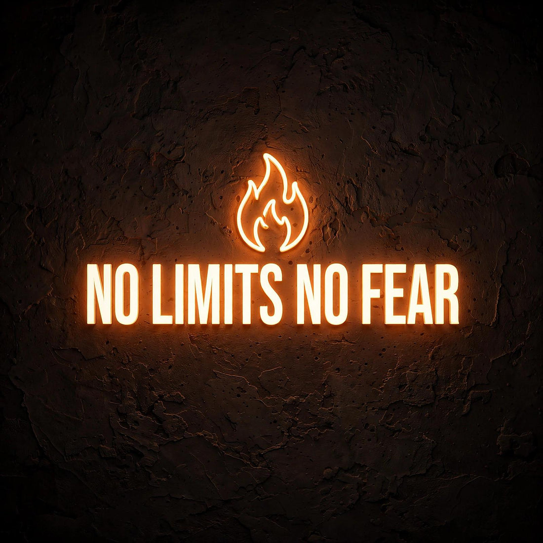 No limits no fear · LED Neon